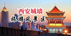 啊,好,大,的,鸡,巴,好,爽,视频中国陕西-西安城墙旅游风景区